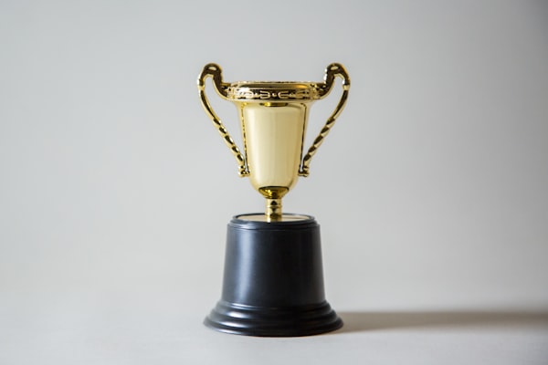 Best Travel Agency 2024 Trophy