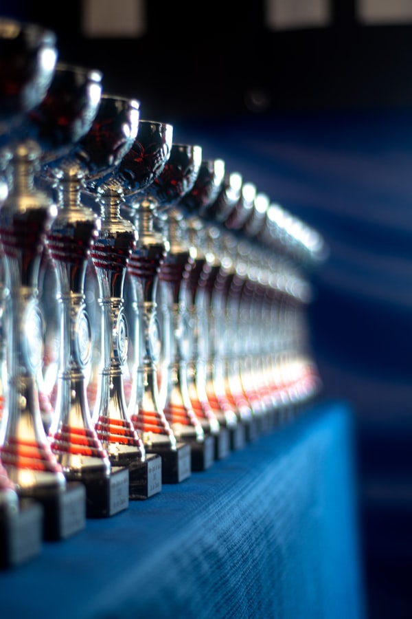 Excellence in Service Trophies